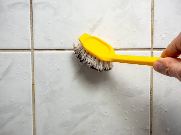 Best Mold Inspection  in Logansport, LA