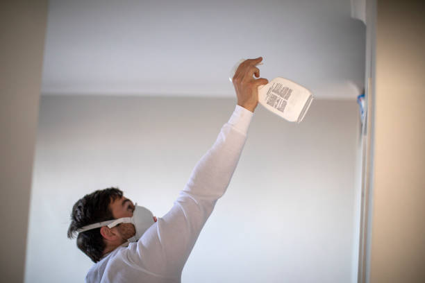 Best Certified Mold Removal  in Logansport, LA