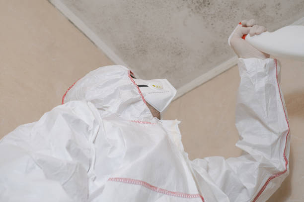 Best Mold Testing  in Logansport, LA